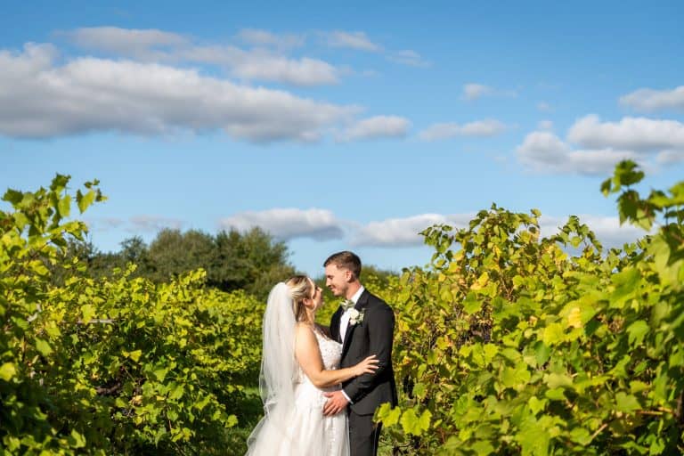 Bride and groom embracing in vineyard sunlight by Southampton wedding photographer John Watson