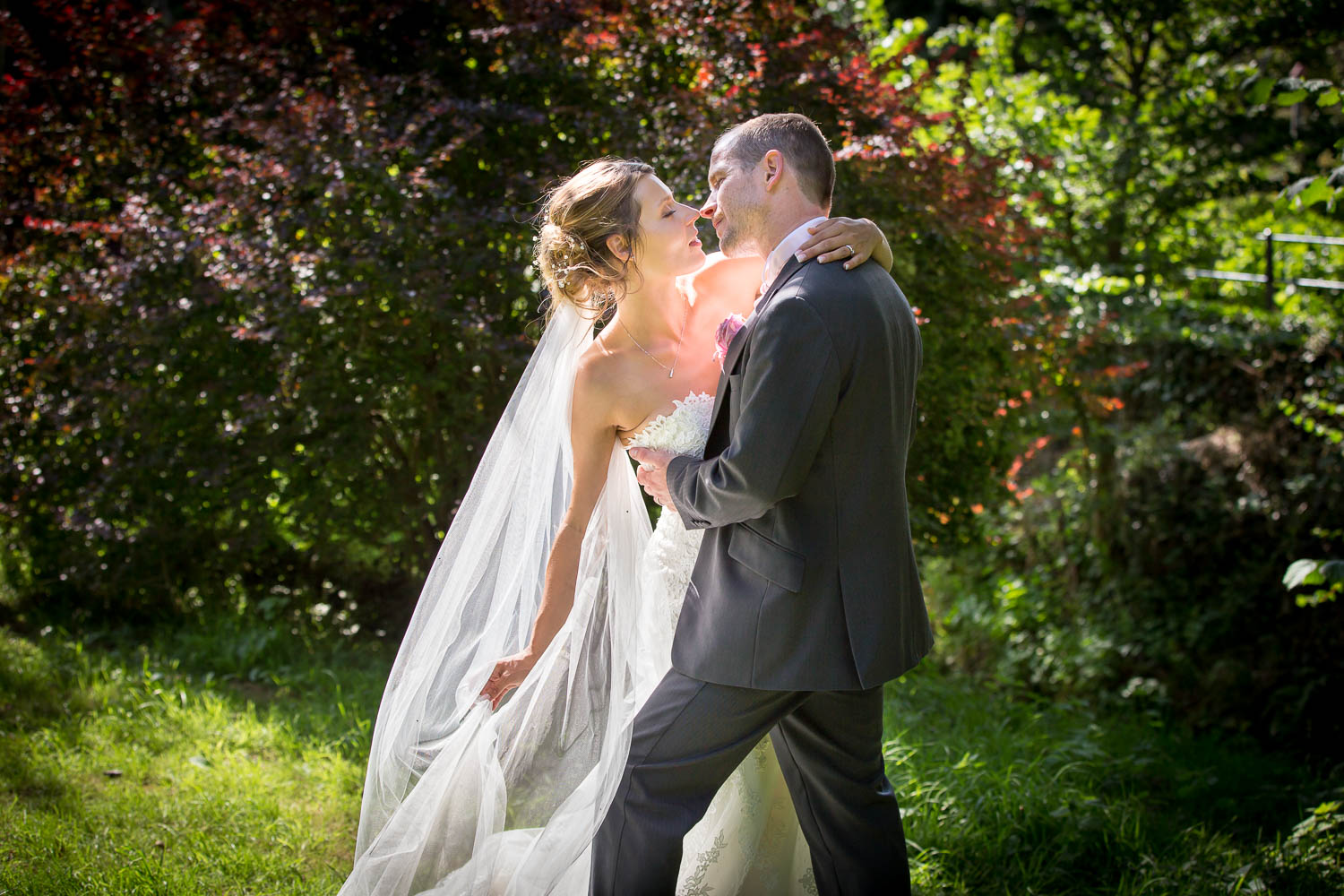 Dan and Amber’s wedding at Honeybrook farm